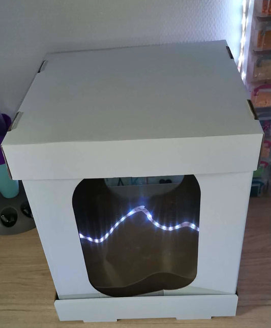 Boîte à Gâteau en Carton Renforcé 30x30x35 cm – 2 Faces Transparentes