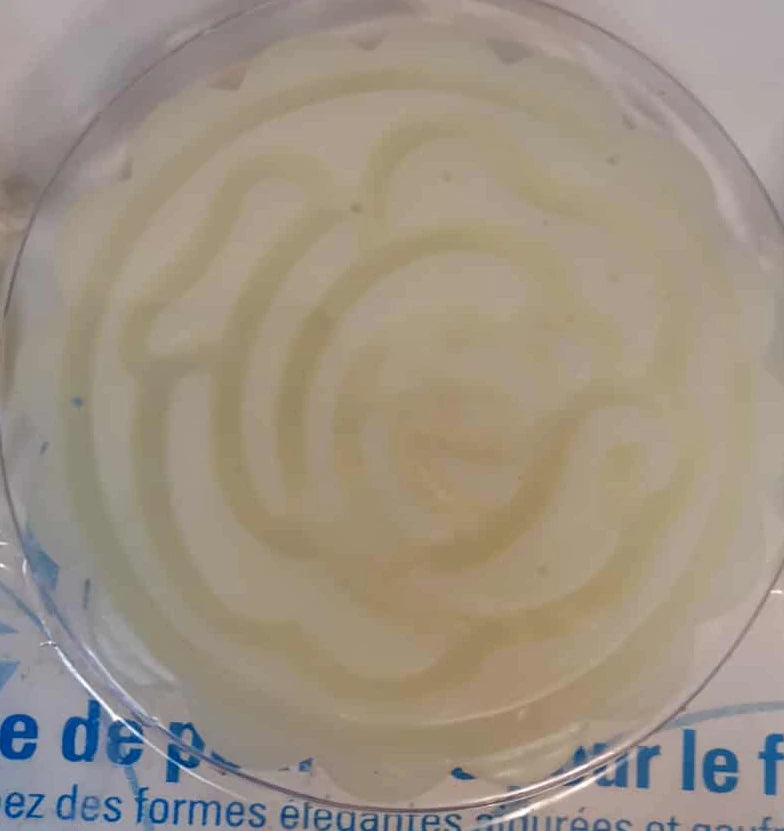 Moule à biscuits avec tampons décoratifs – Idéal gâteaux et pâtisseries