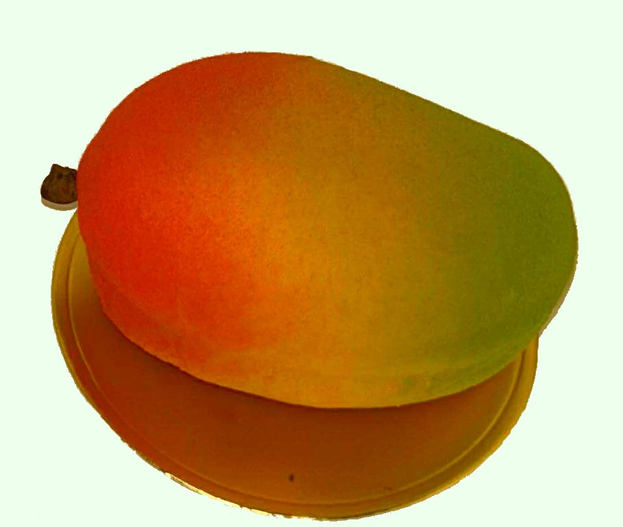 mousse de mangue , morceau de mangue