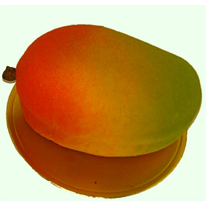 mousse de mangue , morceau de mangue