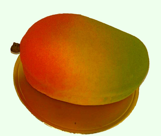 mousse de mangue , morceau de mangue